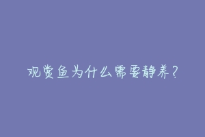 观赏鱼为什么需要静养？