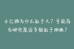 小公猫为什么肚子大？可能存在哪些原因导致肚子膨胀？