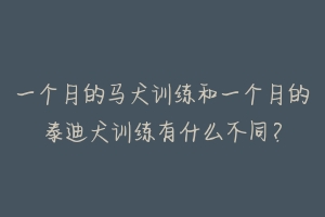 一个月的马犬训练和一个月的泰迪犬训练有什么不同？