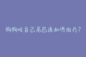 狗狗咬自己尾巴该如何治疗？