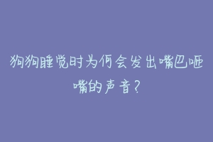 狗狗睡觉时为何会发出嘴巴咂嘴的声音？