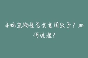 小蛇宠物是否会食用虫子？如何处理？