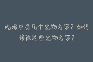 吃鸡中有几个宠物名字？如何修改这些宠物名字？