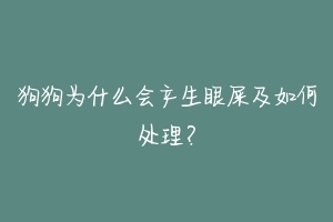 狗狗为什么会产生眼屎及如何处理？