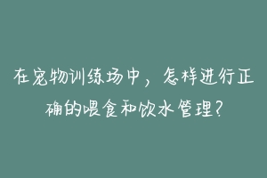 在宠物训练场中，怎样进行正确的喂食和饮水管理？