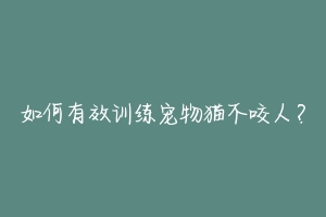 如何有效训练宠物猫不咬人？