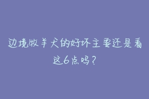 边境牧羊犬的好坏主要还是看这6点吗？