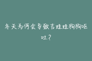 冬天为何会导致吉娃娃狗狗呕吐？