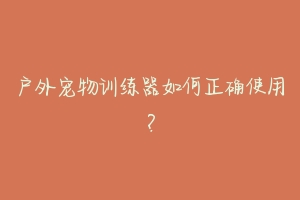 户外宠物训练器如何正确使用？