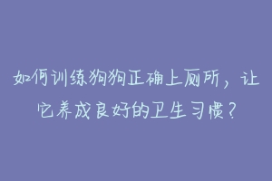 如何训练狗狗正确上厕所，让它养成良好的卫生习惯？