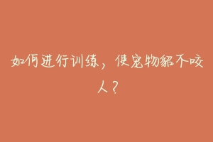 如何进行训练，使宠物貂不咬人？