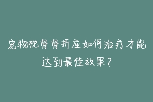 宠物枕骨骨折应如何治疗才能达到最佳效果？