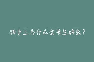 猫身上为什么会寄生蜱虫？