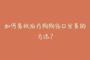 如何有效治疗狗狗伤口发炎的方法？