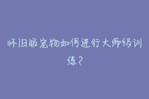 怀旧服宠物如何进行大师级训练？