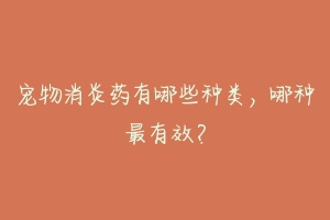 宠物消炎药有哪些种类，哪种最有效？