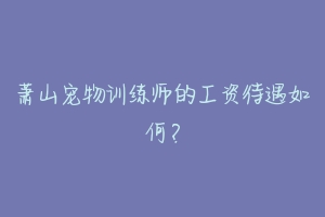 萧山宠物训练师的工资待遇如何？