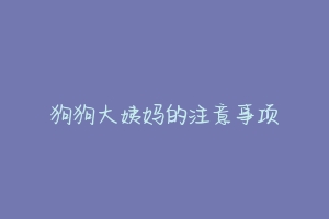 狗狗大姨妈的注意事项