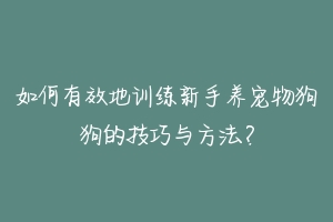 如何有效地训练新手养宠物狗狗的技巧与方法？