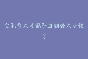 金毛多大才能不再到处大小便？