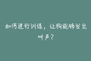 如何进行训练，让狗能够发出叫声？