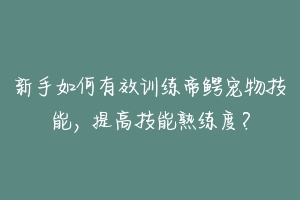 新手如何有效训练帝鳄宠物技能，提高技能熟练度？