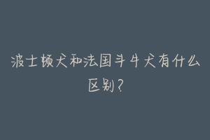 波士顿犬和法国斗牛犬有什么区别？