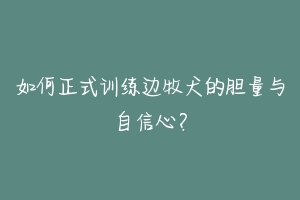 如何正式训练边牧犬的胆量与自信心？