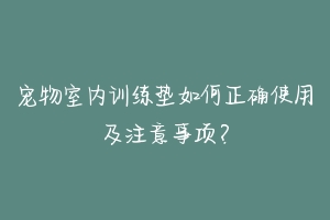 宠物室内训练垫如何正确使用及注意事项？