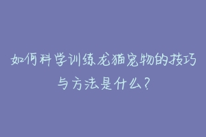 如何科学训练龙猫宠物的技巧与方法是什么？