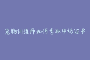 宠物训练师如何考取中级证书