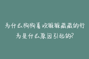 为什么狗狗喜欢躲躲藏藏的行为是什么原因引起的?