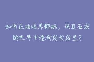 如何正确喂养鹦鹉，使其在我的世界中逐渐成长成型？