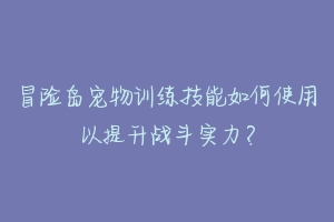 冒险岛宠物训练技能如何使用以提升战斗实力？