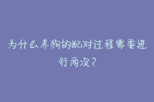 为什么养狗的配对过程需要进行两次？