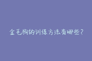 金毛狗的训练方法有哪些？