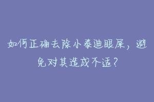 如何正确去除小泰迪眼屎，避免对其造成不适？