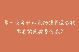 第一次养什么宠物猪最适合初学者的选择是什么？