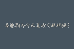 泰迪狗为什么喜欢叼粑粑纸？