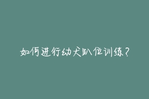 如何进行幼犬趴位训练？