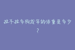 拉不拉多狗成年的体重是多少？