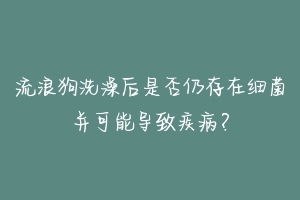 流浪狗洗澡后是否仍存在细菌并可能导致疾病？