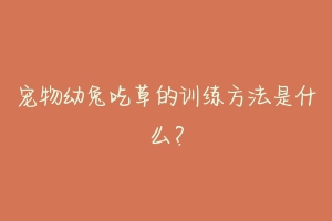 宠物幼兔吃草的训练方法是什么？