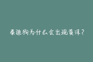 泰迪狗为什么会出现黄沫？