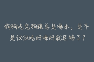 狗狗吃完狗粮总是喝水，是不是仅仅吃好喝好就足够了？