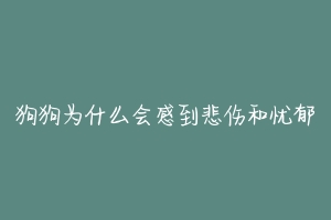 狗狗为什么会感到悲伤和忧郁