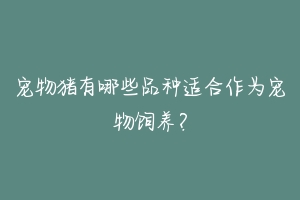 宠物猪有哪些品种适合作为宠物饲养？