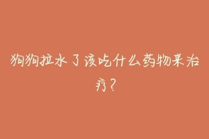 狗狗拉水了该吃什么药物来治疗？