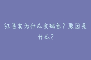 红贵宾为什么会褪色？原因是什么？