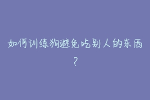 如何训练狗避免吃别人的东西？